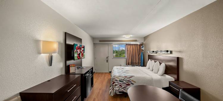 达拉斯DFW机场北红顶酒店(Red Roof Inn Dallas - DFW Airport North)图片