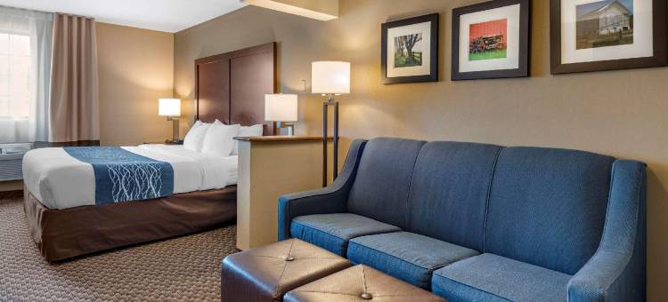 舒适套房酒店(Comfort Inn & Suites Napoleon)图片