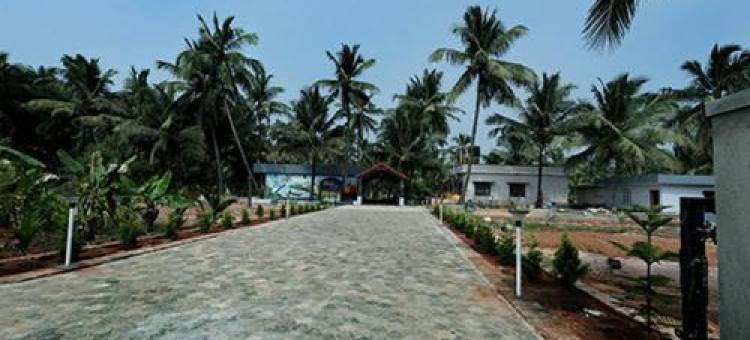 The Little Prince - Mangalore Beach Homestay图片