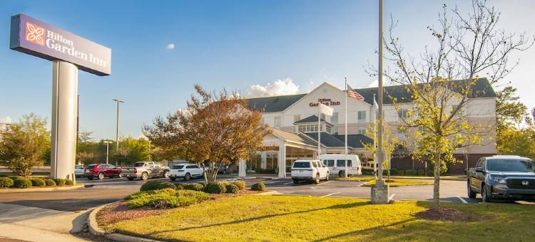 杰克逊明珠希尔顿花园酒店(Hilton Garden Inn Jackson Pearl)图片