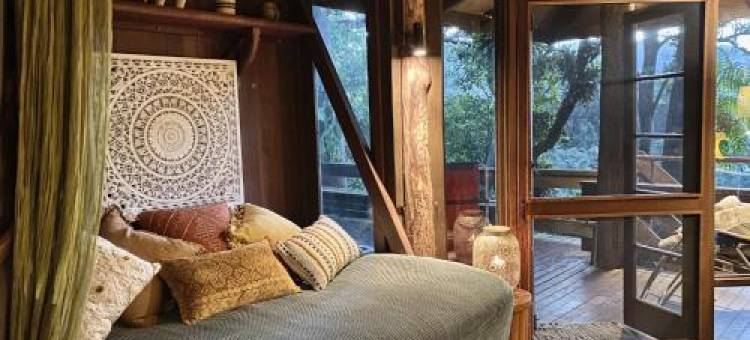 Currumbin雨林树屋(Currumbin Rainforest Treehouse)图片
