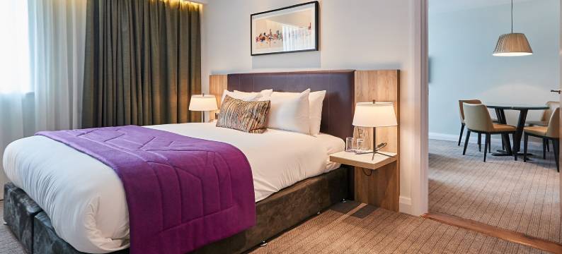 伯明翰雷吉斯公园酒店(Park Regis Birmingham)图片