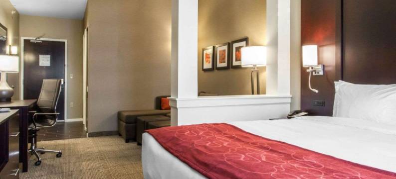 舒适套房酒店-扬斯敦北(Comfort Suites-Youngstown North)图片