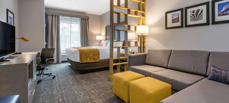 舒适酒店和套房 - 杰克逊维尔橙园靠近海军航空站(Comfort Inn & Suites Jacksonville - Orange Park Near Naval Air Station)图片