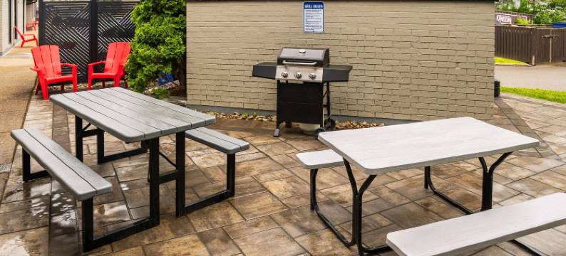 圭尔夫舒适酒店(Comfort Inn)图片