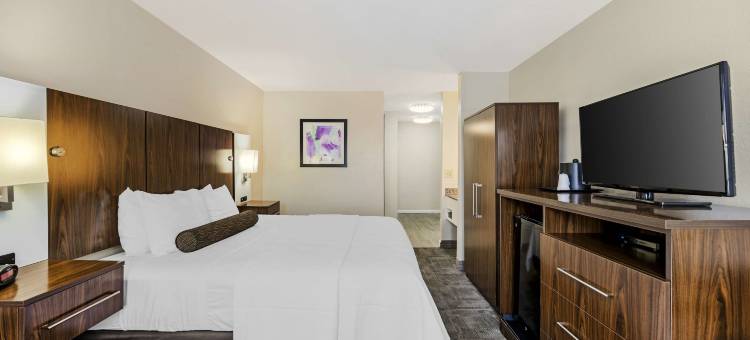 X世代贝斯特韦斯特优质酒店(Best Western Plus Gen X Inn)图片