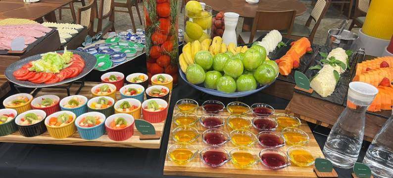 Transamerica Executive 索罗卡巴酒店(Transamerica Executive Sorocaba)图片