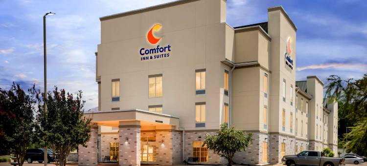 舒适套房酒店(Comfort Inn & Suites)图片