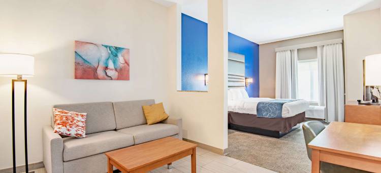 德纳姆斯普林斯舒适套房酒店(Comfort Suites Denham Springs)图片