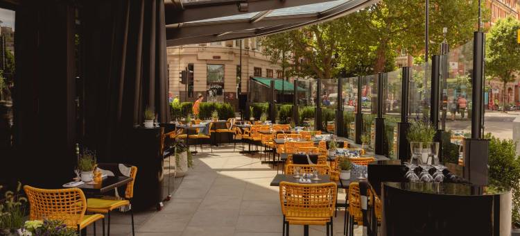 伦敦霍克斯顿艺术酒店(Art'Otel London Hoxton)图片