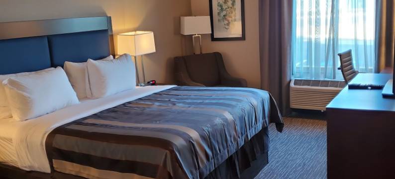 克里斯琴斯堡酒店蔚景温德姆酒店(Wingate by Wyndham Christiansburg)图片