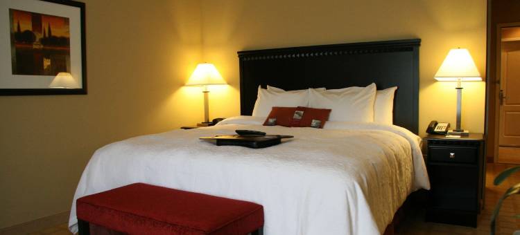 希尔顿欢朋酒店-达德市泽弗希尔斯(Hampton Inn Dade City - Zephyrhills)图片