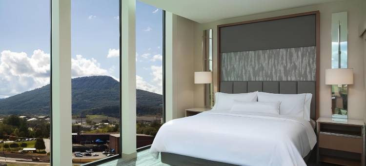 查塔努加威斯汀酒店(The Westin Chattanooga)图片