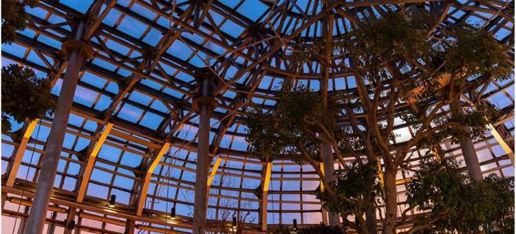 钏路王子大酒店(Kushiro Prince Hotel)图片