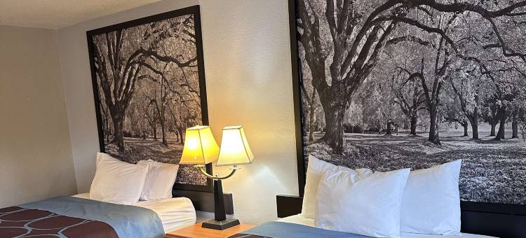 温德姆华东速 8 酒店(Super 8 by Wyndham Vancouver East)图片