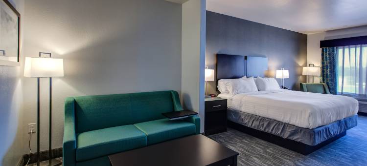 Holiday Inn Express & Suites GATESVILLE - N. FT HOOD by IHG图片