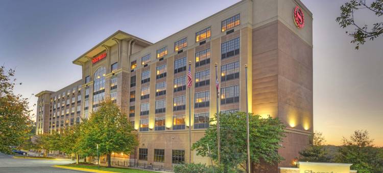 巴尔的摩华盛顿机场喜来登酒店-I(Sheraton Baltimore Washington Airport Hotel - BWI)图片
