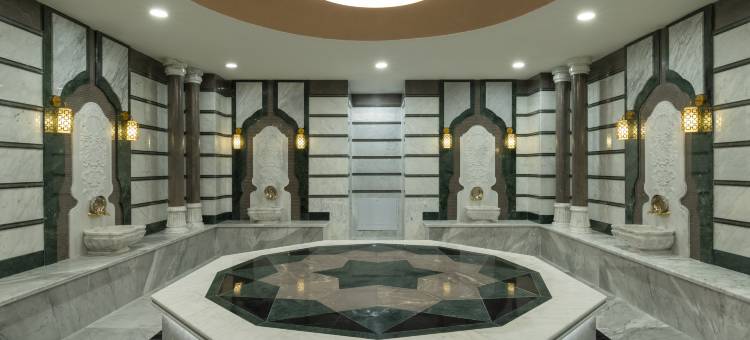 马尼萨希尔顿逸林酒店(DoubleTree by Hilton Manisa)图片