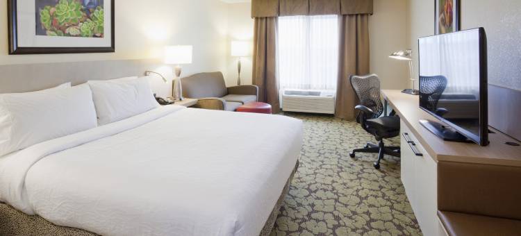 明尼阿波利斯伊根希尔顿花园酒店(Hilton Garden Inn Minneapolis Eagan)图片