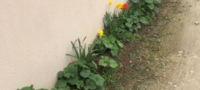 Studio Pour 2 Personnes à Tonnay Charente图片