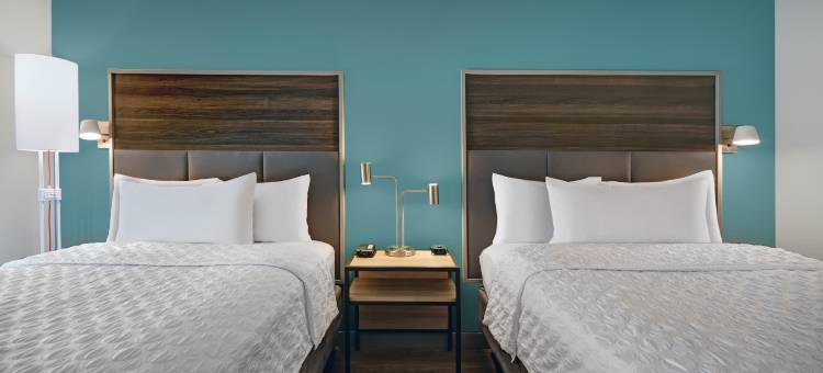 盖洛德希尔顿Tru酒店(Tru by Hilton Gaylord)图片