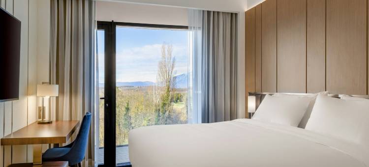 AC酒店-圣朱利安昂热讷瓦(AC Hotel Saint-Julien-en-Genevois)图片