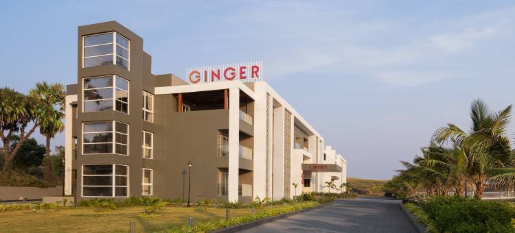 金杰迪乌贾朗达尔海滩(Ginger Diu Jalandhar Beach)图片