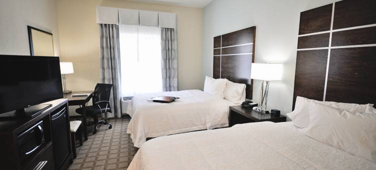 哈托欢朋酒店(Hampton Inn & Suites by Hilton Hutto Austin)图片