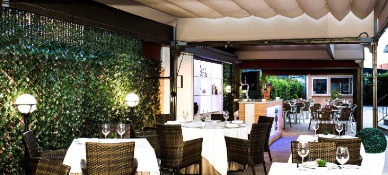 塞尔科蒂尔AB阿尔甘达酒店(Sercotel AB Arganda)图片