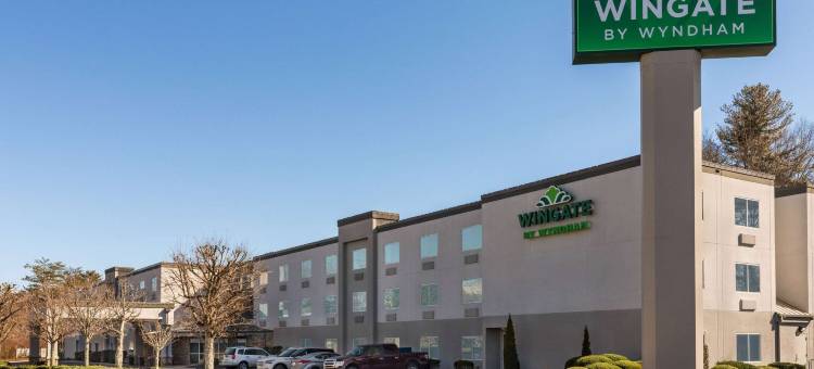 弗莱彻阿什维尔机场蔚景温德姆酒店(Wingate by Wyndham Fletcher at Asheville Airport)图片