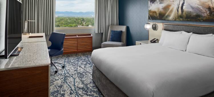 丹佛希尔顿逸林酒店(DoubleTree by Hilton Hotel Denver)图片