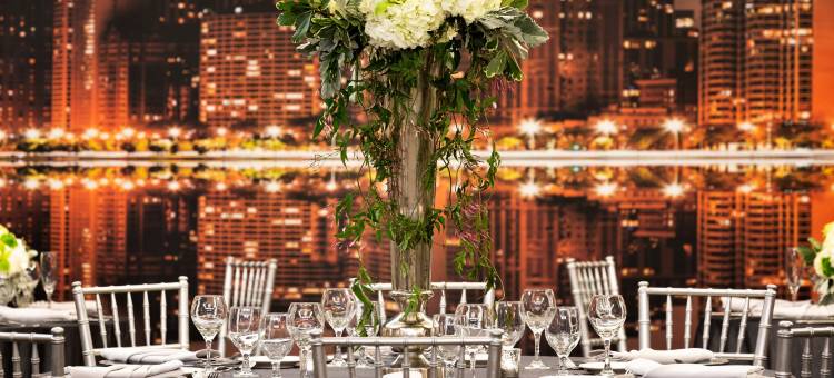 芝加哥壮丽大道希尔顿套房酒店(Hilton Chicago Magnificent Mile Suites)图片