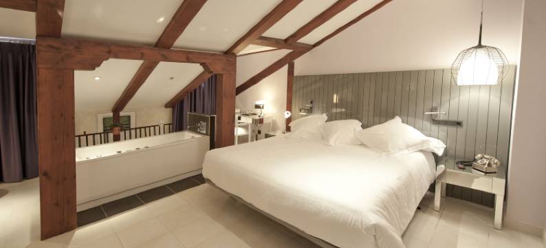 金狮精品酒店(Posada del León de Oro Boutique Hotel)图片