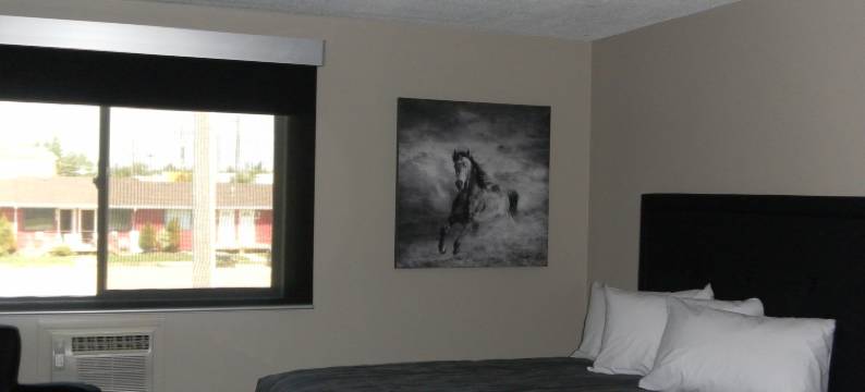 斯特昂佩德酒店(Stampeder Inn)图片