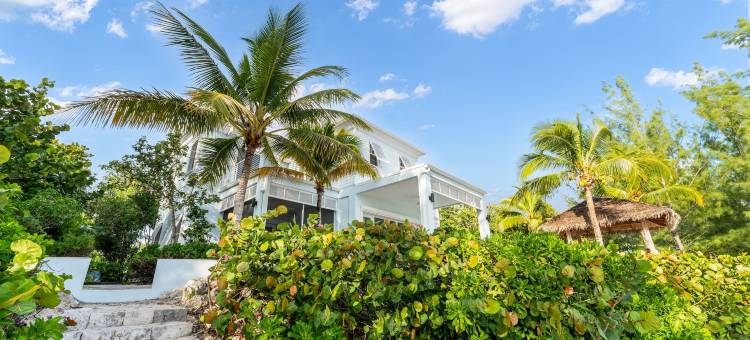 基博科(Kiboko)图片