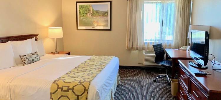 特克萨卡纳温德姆呗盟酒店(Baymont by Wyndham Texarkana)图片