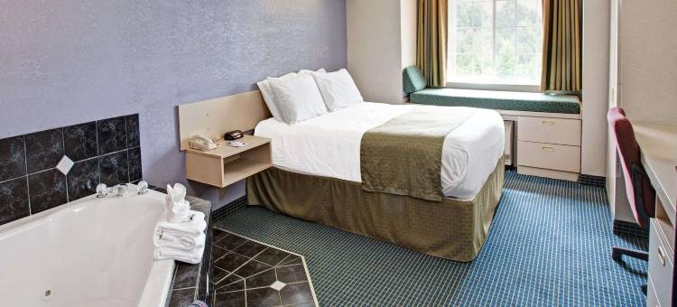 斯泰茨维尔温德姆麦客达套房酒店(Microtel Inn & Suites by Wyndham Statesville)图片