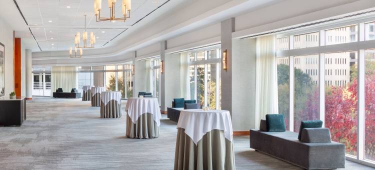 亚特兰大巴克海区特威斯汀酒店(The Westin Buckhead Atlanta)图片