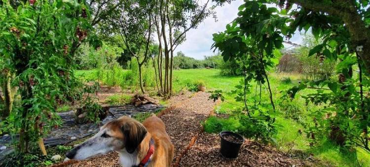 Moorview房子(Moorview House)图片