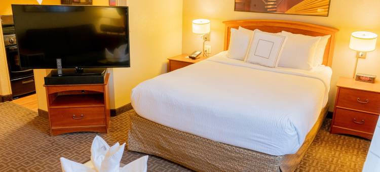 达拉斯拉斯科林纳斯万豪TownePlace酒店(TownePlace Suites Dallas Las Colinas)图片