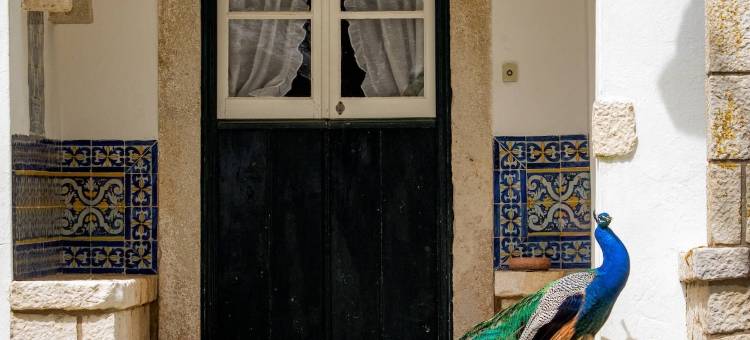 昆塔福斯酒店(Quinta da Foz)图片