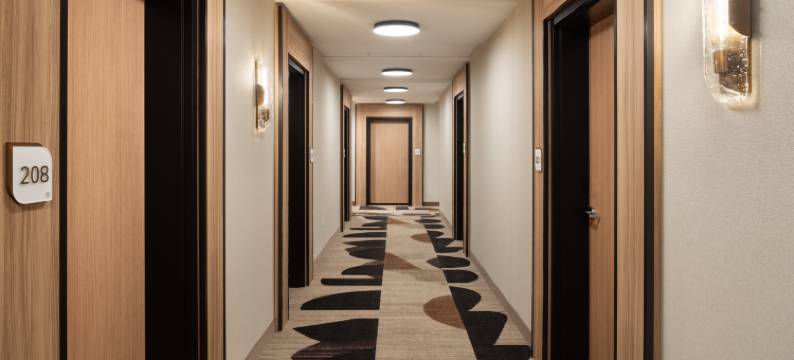 希尔顿花园酒店格林维尔大学(Hilton Garden Inn Greenville University Area)图片