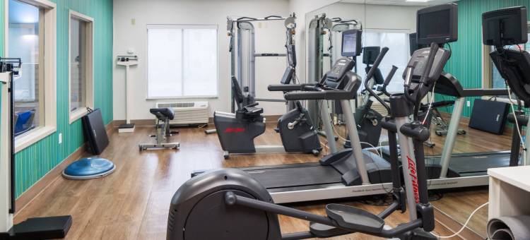 洲际酒店集团智选假日酒店及套房 斯特劳兹堡-波科诺斯(Holiday Inn Express & Suites STROUDSBURG-POCONOS by IHG)图片