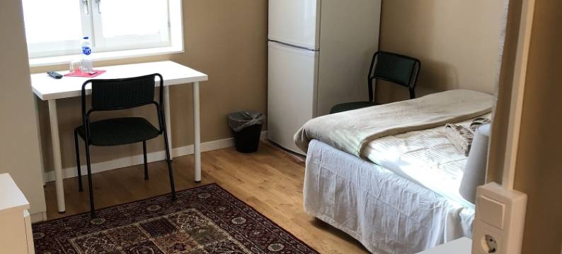 黄金青年旅舍(Golden Hostel)图片