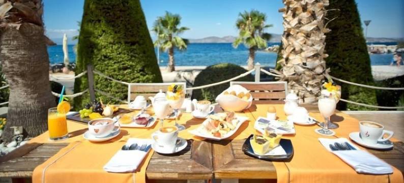 瓦利斯度假酒店(Valis Resort Hotel)图片