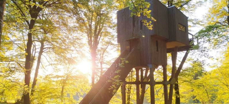 森林小憩(L'étape en forêt)图片