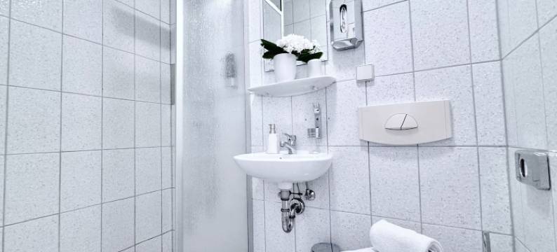 REGIOHOTEL盐地(Regiohotel Salzland)图片