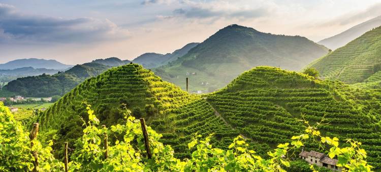 德奇奥斯特里酒店(Charming Hotel dei Chiostri)图片