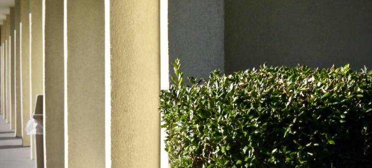 罗德威酒店 门罗(Rodeway Inn)图片