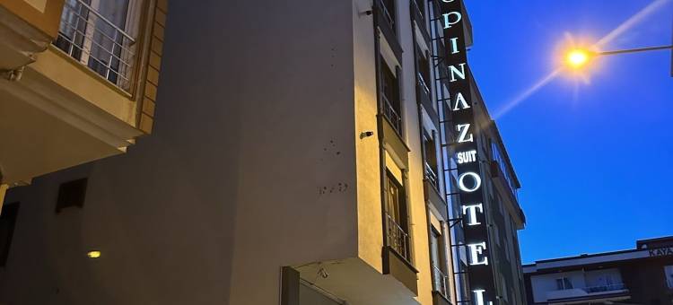 埃斯皮纳兹公寓旅馆(Espinaz Apart Otel)图片